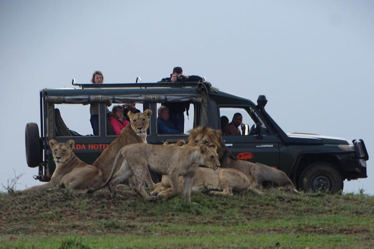 Отель Fig Tree Camp - Maasai Mara Talek Экстерьер фото