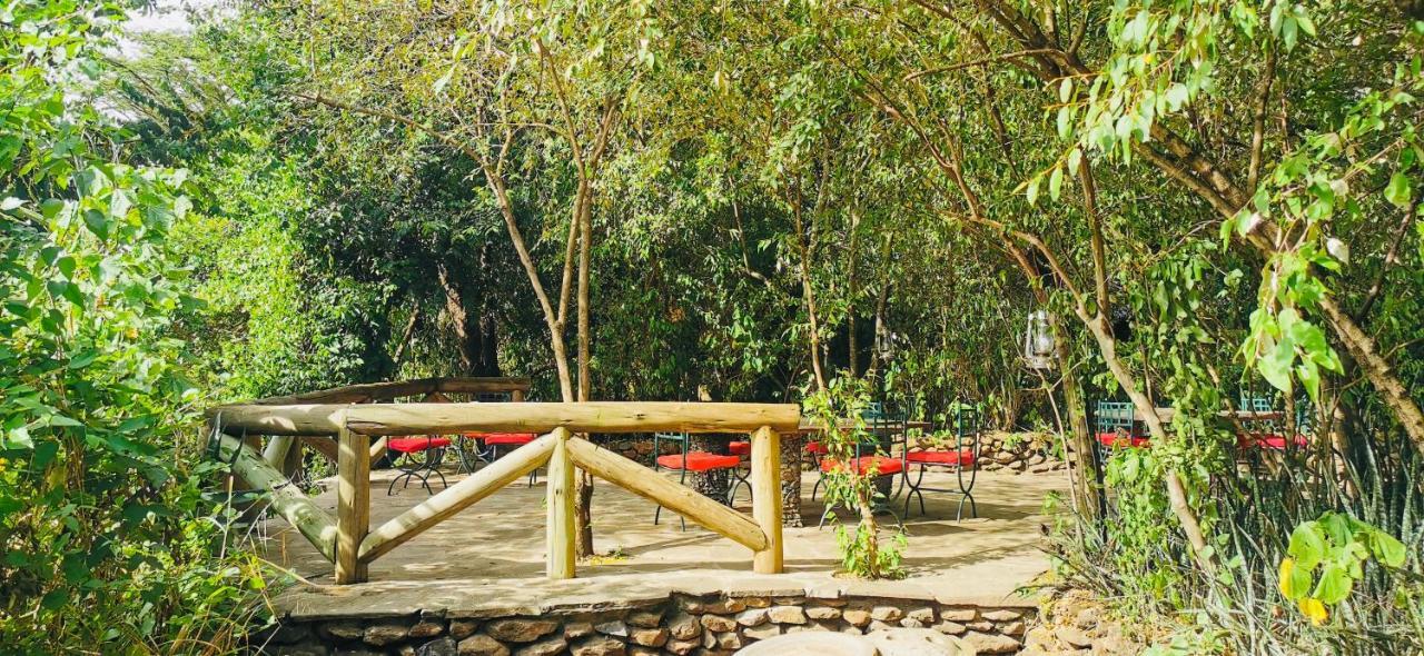 Отель Fig Tree Camp - Maasai Mara Talek Экстерьер фото