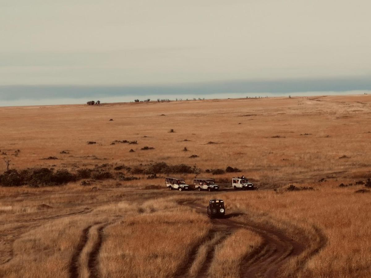 Отель Fig Tree Camp - Maasai Mara Talek Экстерьер фото