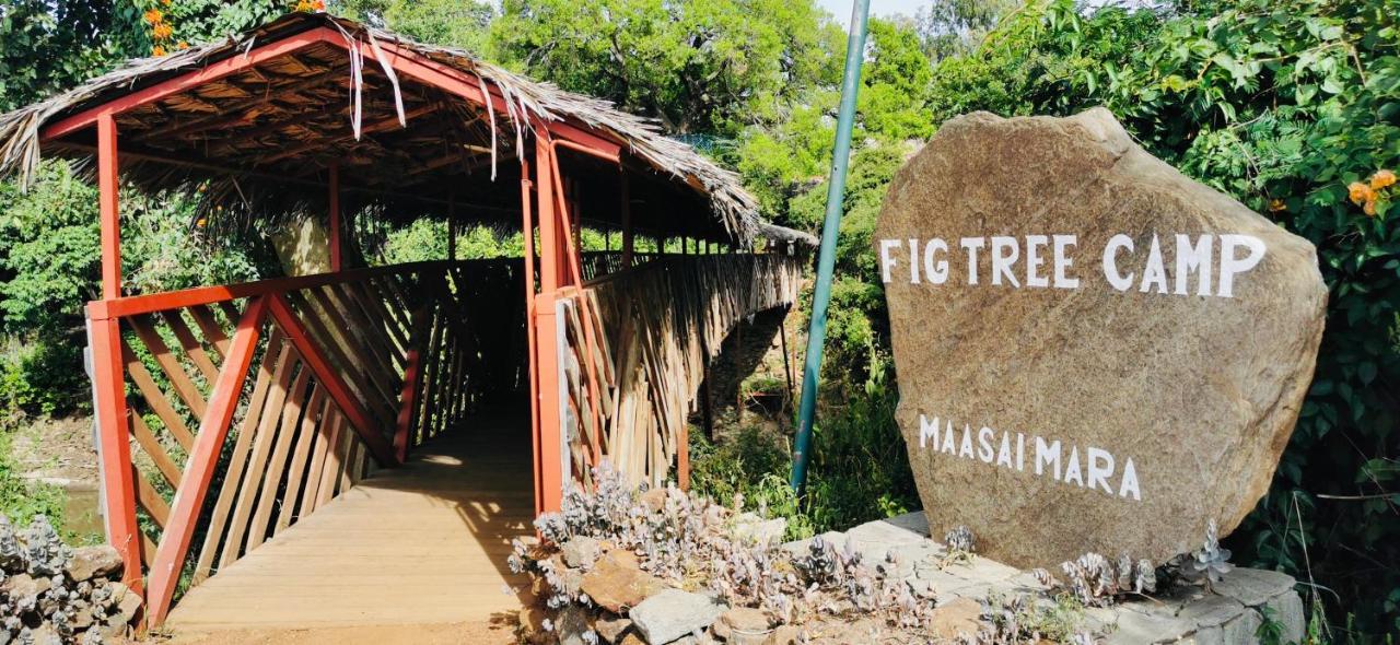 Отель Fig Tree Camp - Maasai Mara Talek Экстерьер фото