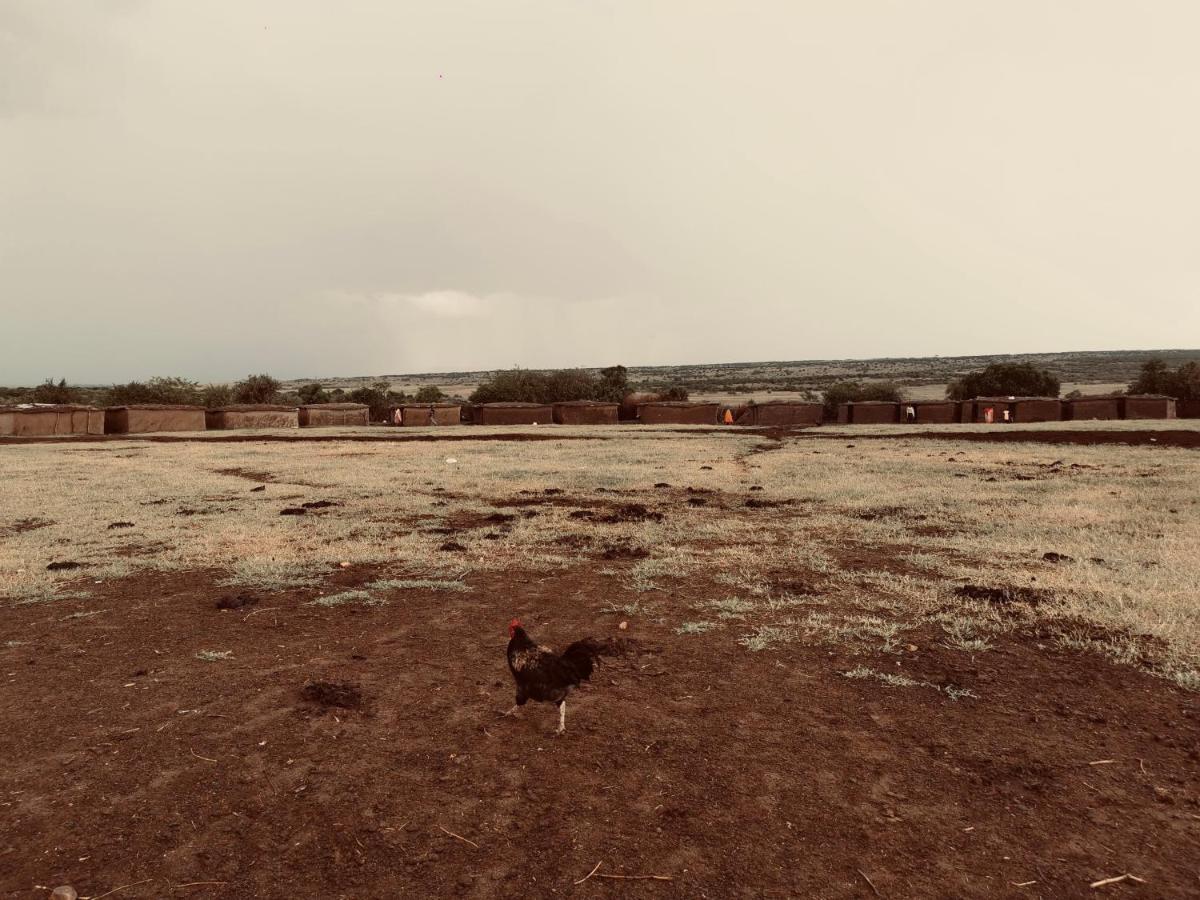 Отель Fig Tree Camp - Maasai Mara Talek Экстерьер фото